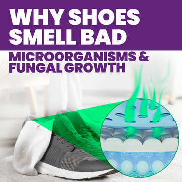 Odor Stomp Shoe Deodorizer - Midnight Rain