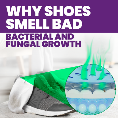 Odor Stomp Shoe Deodorizer - Midnight Rain